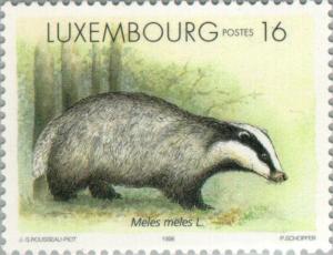 Colnect-134-974-European-Badger-Meles-meles.jpg