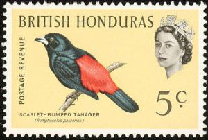 Colnect-1597-891-Passerini--s-Tanager-Ramphocelus-passerinii.jpg