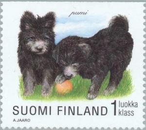 Colnect-160-470-Pumi-Canis-lupus-familiaris.jpg