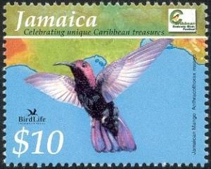 Colnect-1615-307-Jamaican-Mango-Anthracothorax-mango.jpg