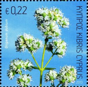 Colnect-1832-882-Origanum-dubium-oregano.jpg