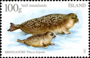 Colnect-1965-463-Caspian-Seal-Phoca-hispida.jpg