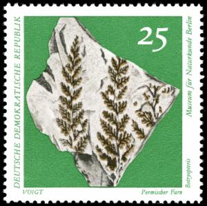 Colnect-1978-884-Permian-Fern-Botryopteris.jpg