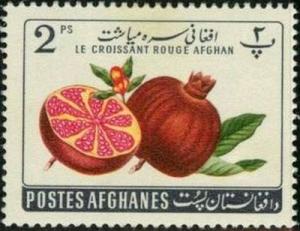 Colnect-1997-328-Pomegranate-Punica-granatum.jpg