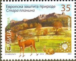 Colnect-2168-343-Nature-Park-Stara-Planina-Roe-Deer-Capreolus-capreolus-E.jpg