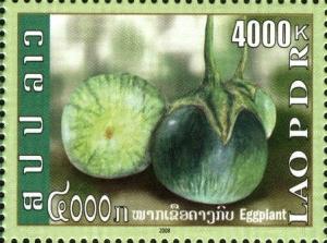 Colnect-2625-566-Eggplant-Solanum-melongena.jpg