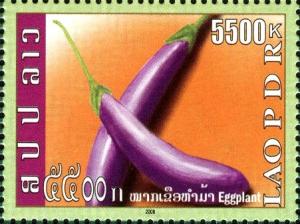 Colnect-2625-567-Eggplant-Solanum-melongena.jpg