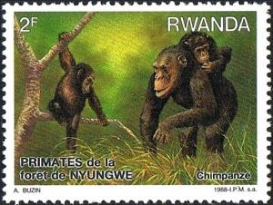 Colnect-2631-970-Chimpanzee-Pan-troglodytes.jpg