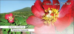 Colnect-2670-861-ATM-label-Endangered-Flowers---Coral-Peony.jpg