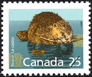 Colnect-2794-660-North-American-Beaver-Castor-canadensis.jpg