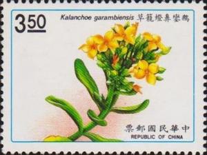 Colnect-3058-775-Kalanchoe-garambiensis.jpg