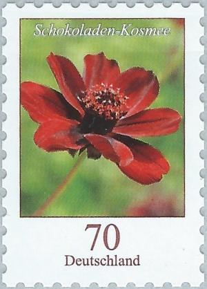 Colnect-3086-107-Cosmos-atrosanguineus---Chocolate-Cosmos.jpg