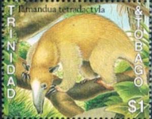 Colnect-3115-565-Southern-tamandua-Tamandua-tetradactyla.jpg