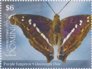 Colnect-3281-662-Hispanolian-Emperor-Doxocopa-thoe.jpg