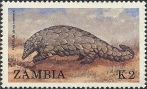 Colnect-3432-966-Ground-Pangolin-Manis-temmincki.jpg