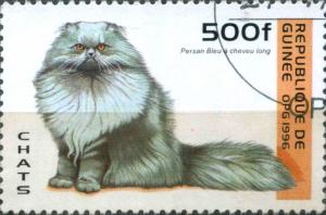 Colnect-3569-502-Blue-Persian-Felis-silvestris-catus.jpg