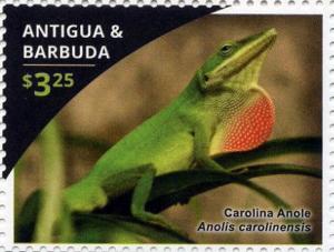 Colnect-3643-953-Carolina-Anole-Anolis-carolinensis.jpg