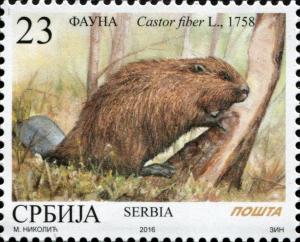 Colnect-3956-476-Eurasian-Beaver-Castor-fiber.jpg