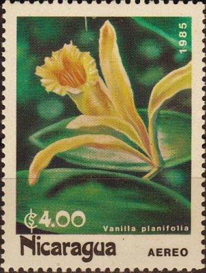 Colnect-4001-584-Vanilla-planifolia.jpg