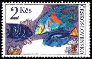 Colnect-4012-797-Koran-Angelfish-Pomacanthus-semicirculatus-Palette-Surgeo.jpg