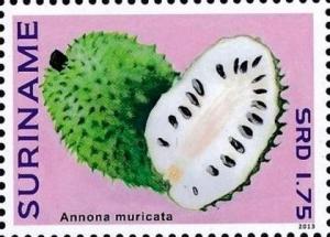 Colnect-4090-042-Annona-muricata.jpg