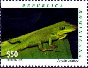 Colnect-4091-131-Anolis-viridius.jpg