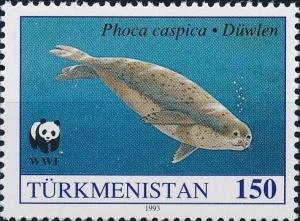 Colnect-4285-716-Caspian-Seal-Phoca-caspica.jpg