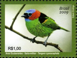 Colnect-450-162-Red-necked-Tanager-Tangara-cyanocephala.jpg