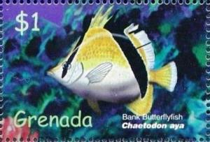 Colnect-4611-723-Bank-butterflyfish.jpg