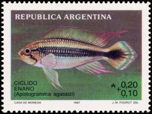 Colnect-4947-326-Ciclido-enano-Apistogramma-agassizi.jpg