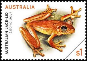 Colnect-5065-826-Australian-Lace-lid-Litoria-dayi.jpg