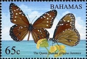 Colnect-5147-442-Queen-Danaus-gilippus-berenice.jpg