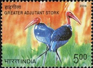 Colnect-542-568-Greater-Adjutant-Stork-Leptoptilos-dubius.jpg