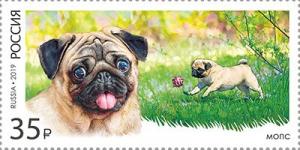 Colnect-5629-628-Pug-Canis-lupus-familiaris.jpg