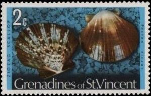 Colnect-5862-246-Bermuda-Sand-Scallop-Pecten-ziczac.jpg