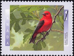 Colnect-588-594-Scarlet-Tanager-Piranga-olivacea.jpg