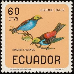 Colnect-734-537-Paradise-Tanager-Tangara-chilensis.jpg