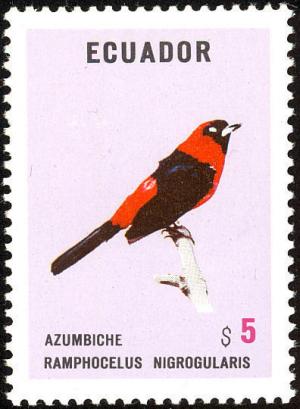 Colnect-734-548-Masked-Crimson-Tanager-Ramphocelus-nigrogularis.jpg