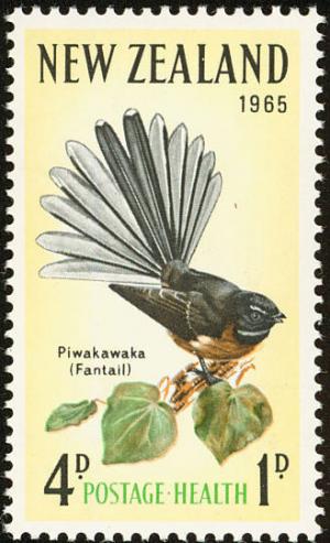 Colnect-735-514-New-Zealand-Fantail-Rhipidura-fuliginosa.jpg