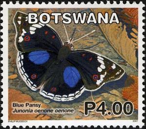 Colnect-778-748-Dark-Blue-Pansy-Junonia-oenone-oenone.jpg