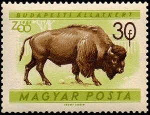 Colnect-812-900-American-Bison-Bison-bison.jpg