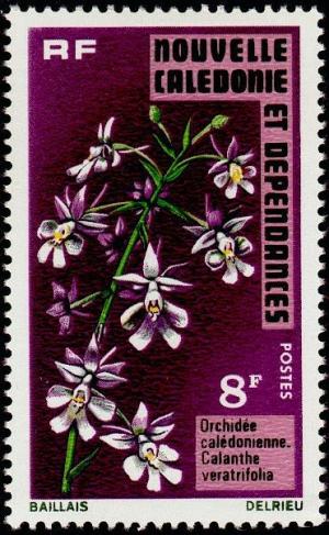 Colnect-853-885-Calanthe-veratrifolia.jpg