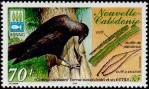 Colnect-857-222-New-Caledonian-Crow-Corvus-moneduloides.jpg