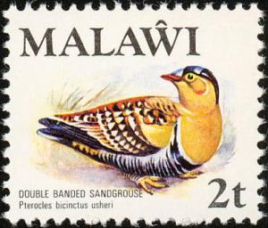 Colnect-864-248-Double-banded-Sandgrouse-Pterocles-bicinctus.jpg