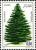 Colnect-2074-221-Algerian-Fir-Abies-numidica.jpg