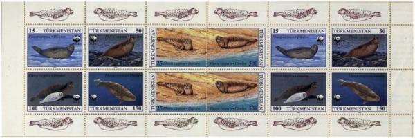 Colnect-1093-478-Caspian-Seal-Phoca-caspica.jpg