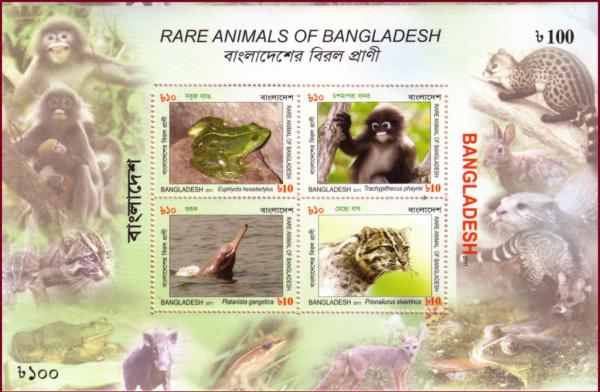 Colnect-1477-329-Rare-animals-of-Bangladesh.jpg