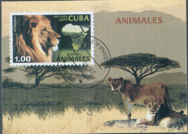 Colnect-5968-943-African-Lion-Panthera-leo.jpg