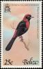 Colnect-1594-430-Crimson-collared-Tanager-Ramphocelus-sanguinolentus.jpg