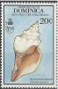 Colnect-2281-532-West-Indian-Chank-Shell-Turbinella-angulata.jpg